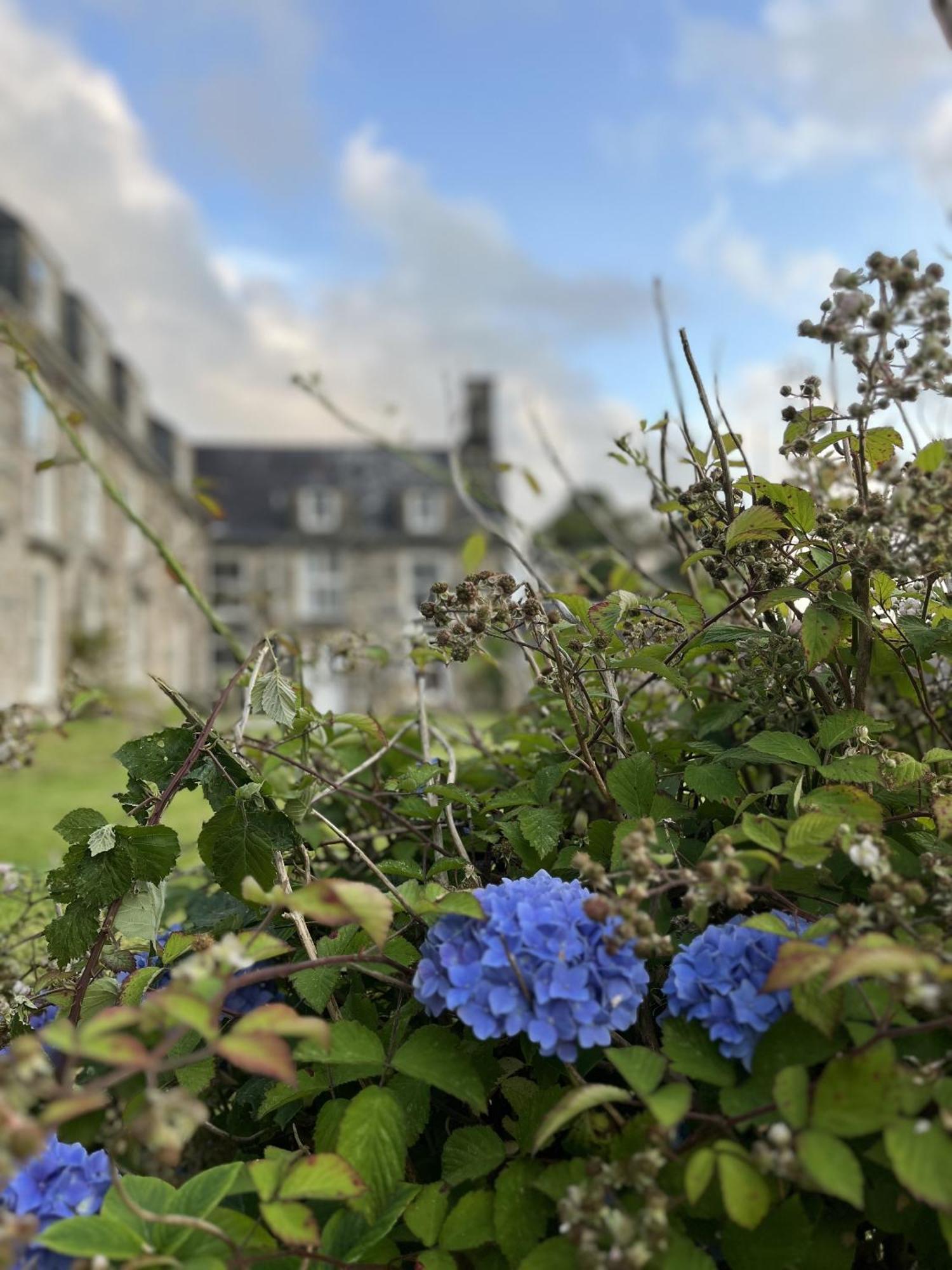 Maes Y Neuadd Talsarnau Quarto foto